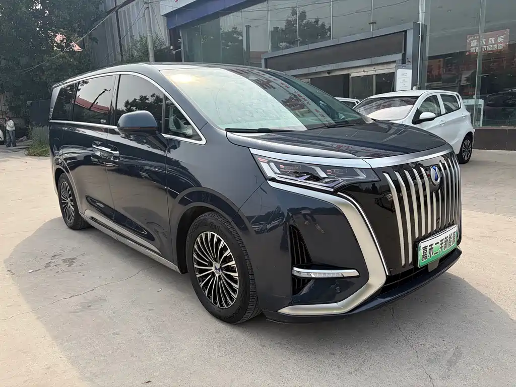 Denza Denza D9 — миниатюра 3