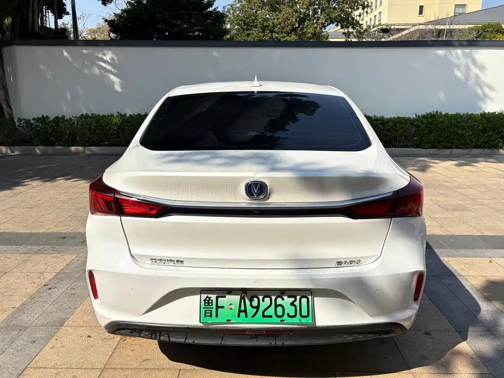 CHANGAN YIDONG NEW ENERGY