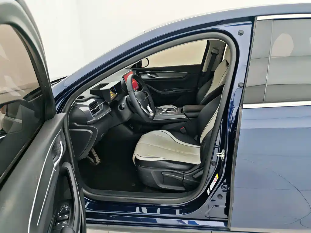 BYD Destroyer 05 2024 DM-i 55KM Luxury