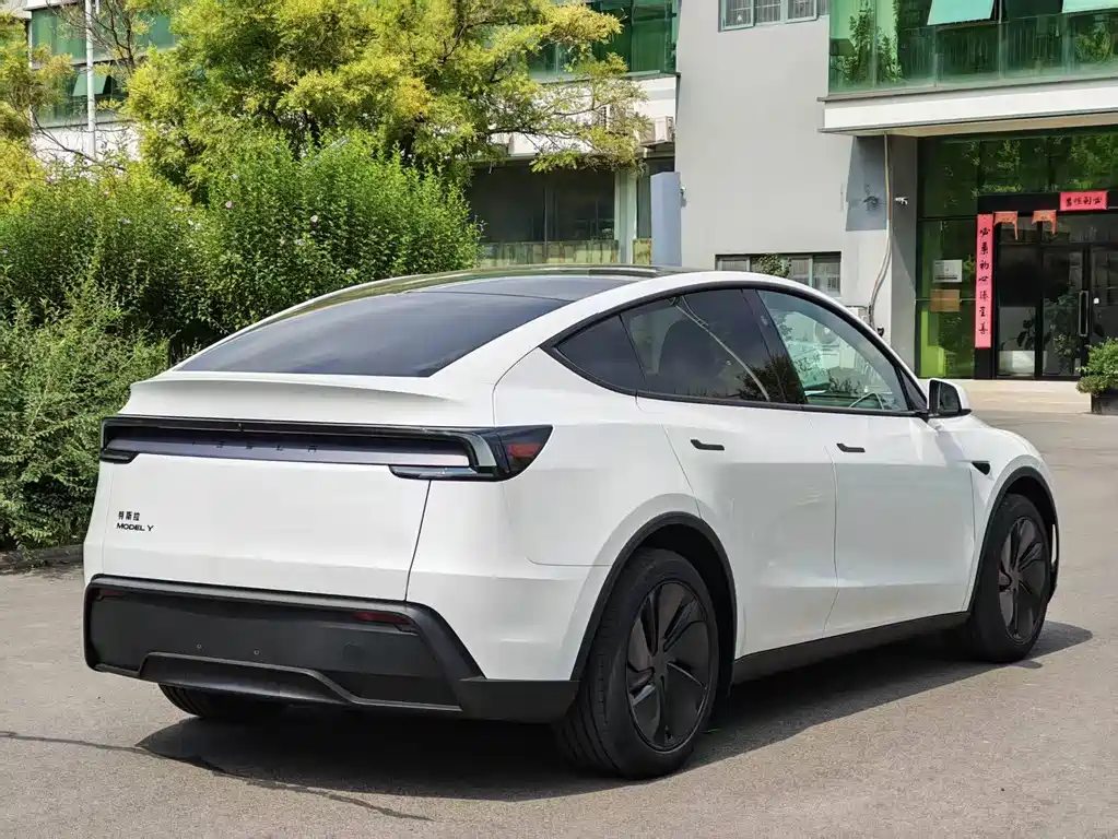 Tesla Model Y — миниатюра 8