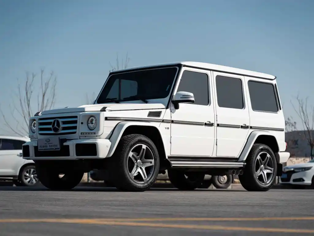 MERCEDES-BENZ G CLASS