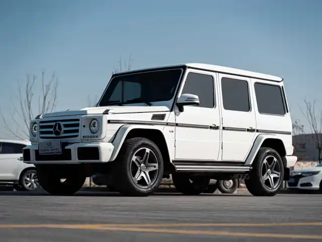 MERCEDES-BENZ G CLASS 2018