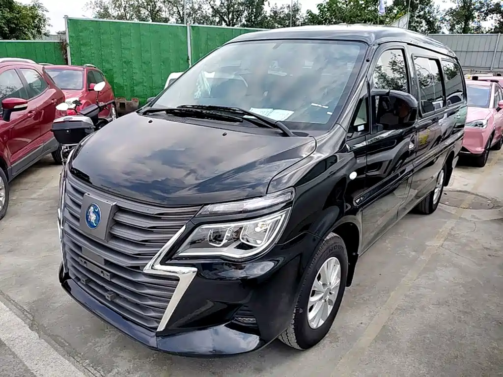 Fengxing Lingzhi New Energy
