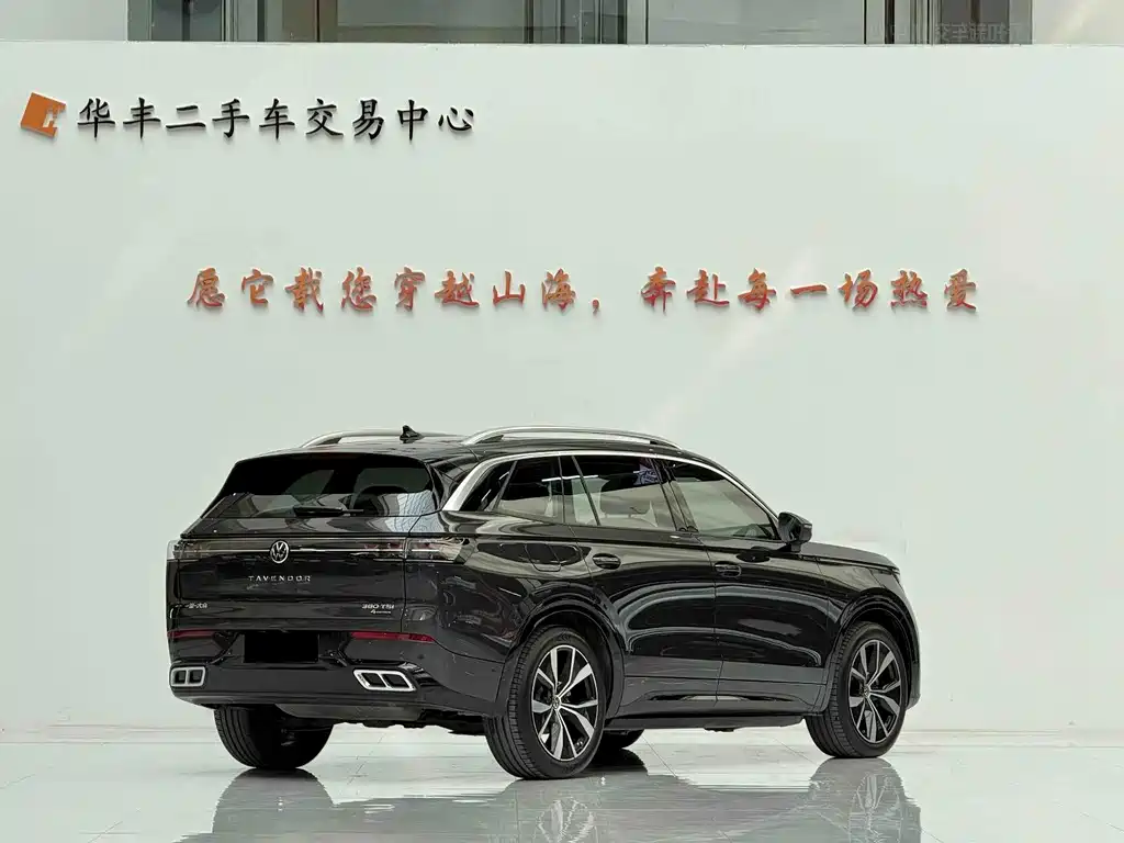 Volkswagen Tavendor — миниатюра 12