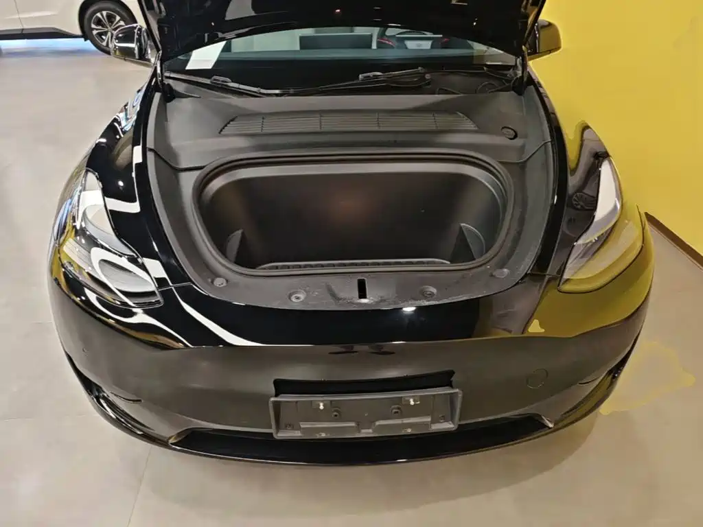 Tesla Model Y — миниатюра 20