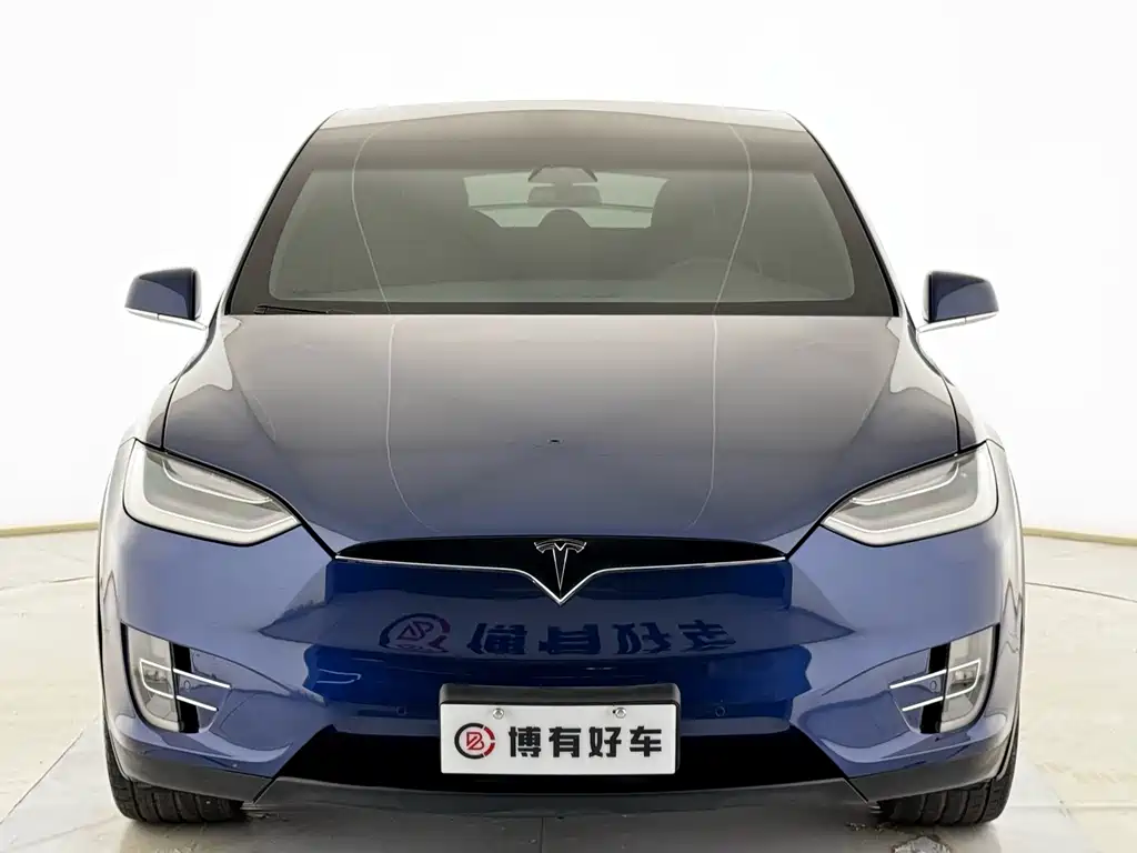 Tesla Model X — миниатюра 2