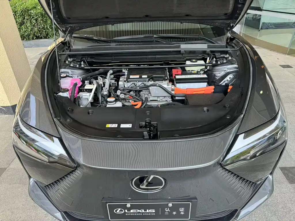 LEXUS RZ