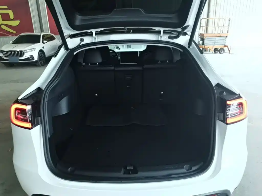 Tesla Model Y — миниатюра 19