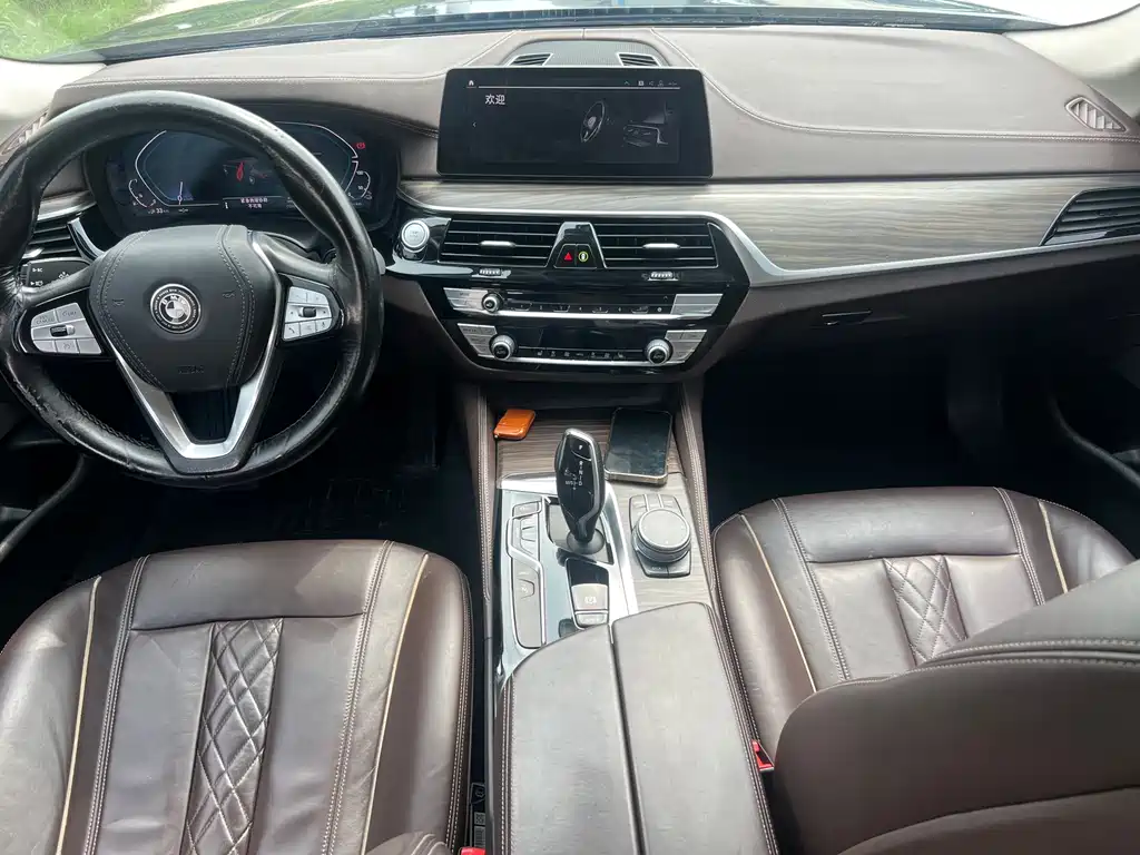 BMW 5 Series New Energy 530Le Luxury Package, фото 5