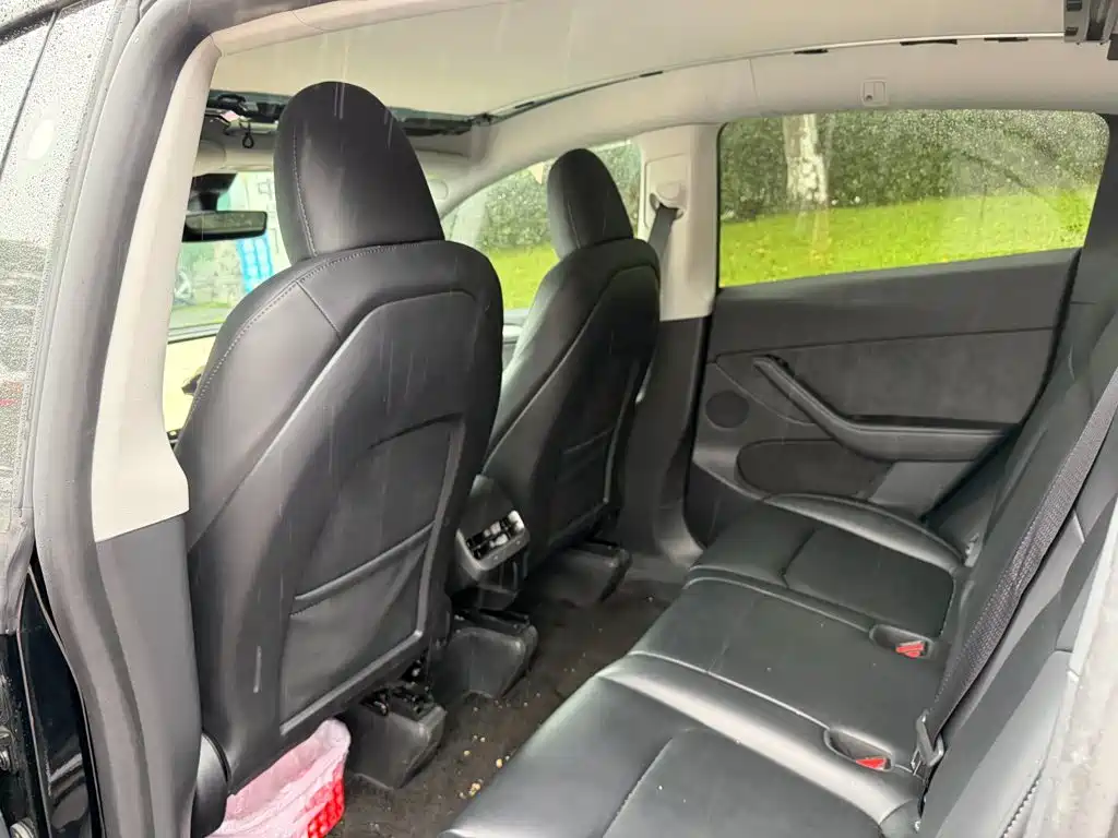 Tesla Model Y — миниатюра 11