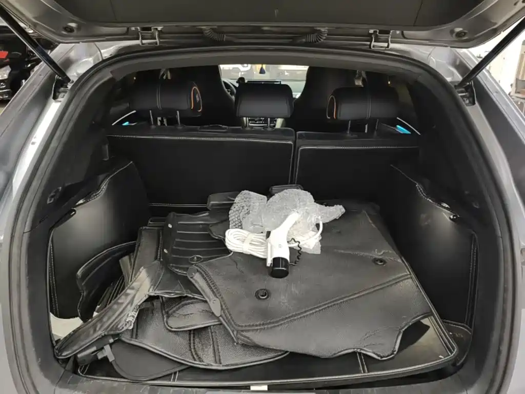 BYD PLUS New Energy — миниатюра 19