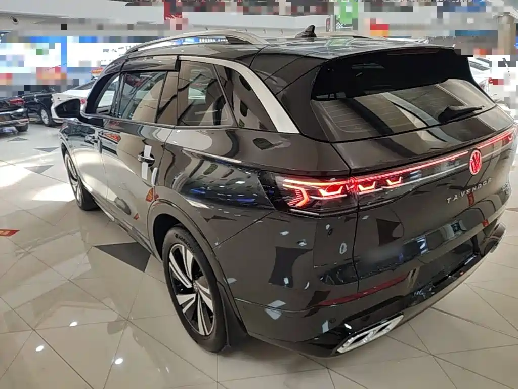Volkswagen Tavendor — миниатюра 5