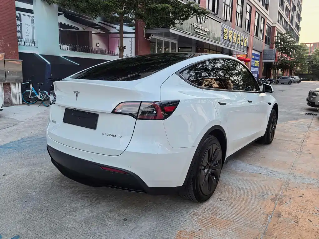 Tesla Model Y — миниатюра 5