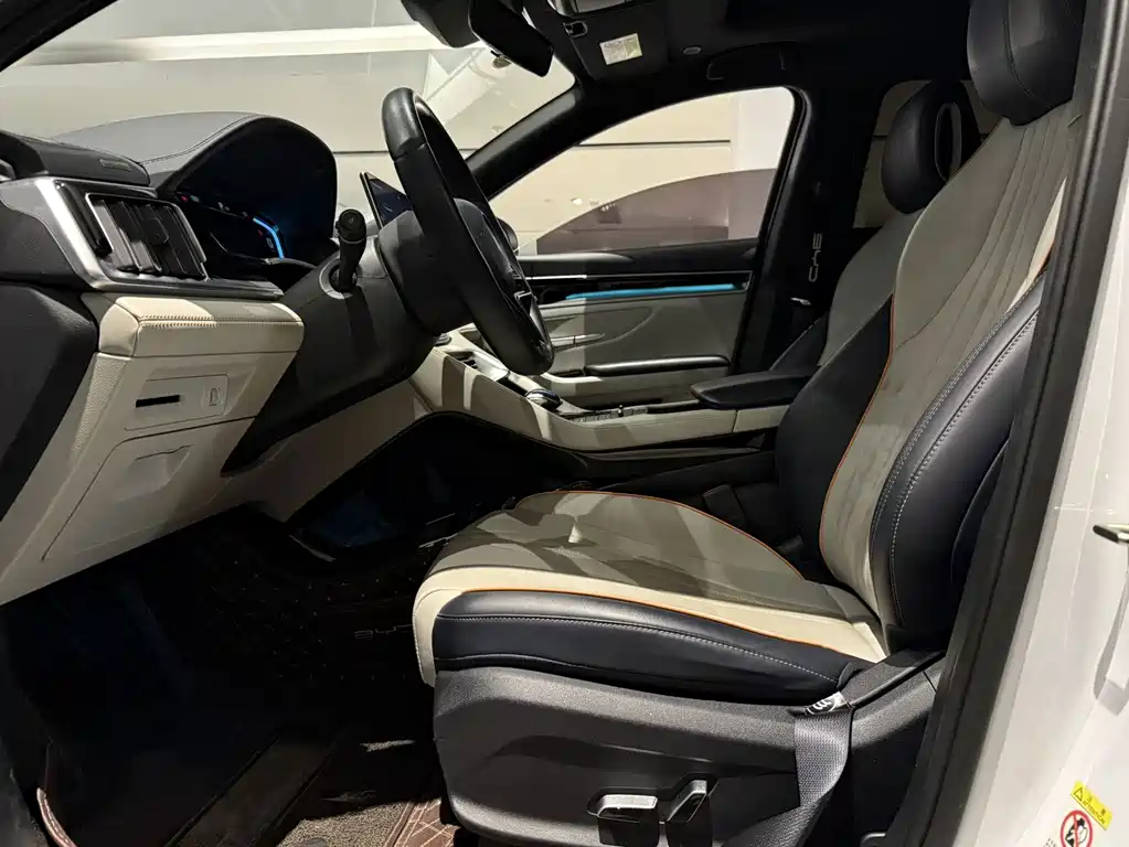 BYD PLUS — миниатюра 4