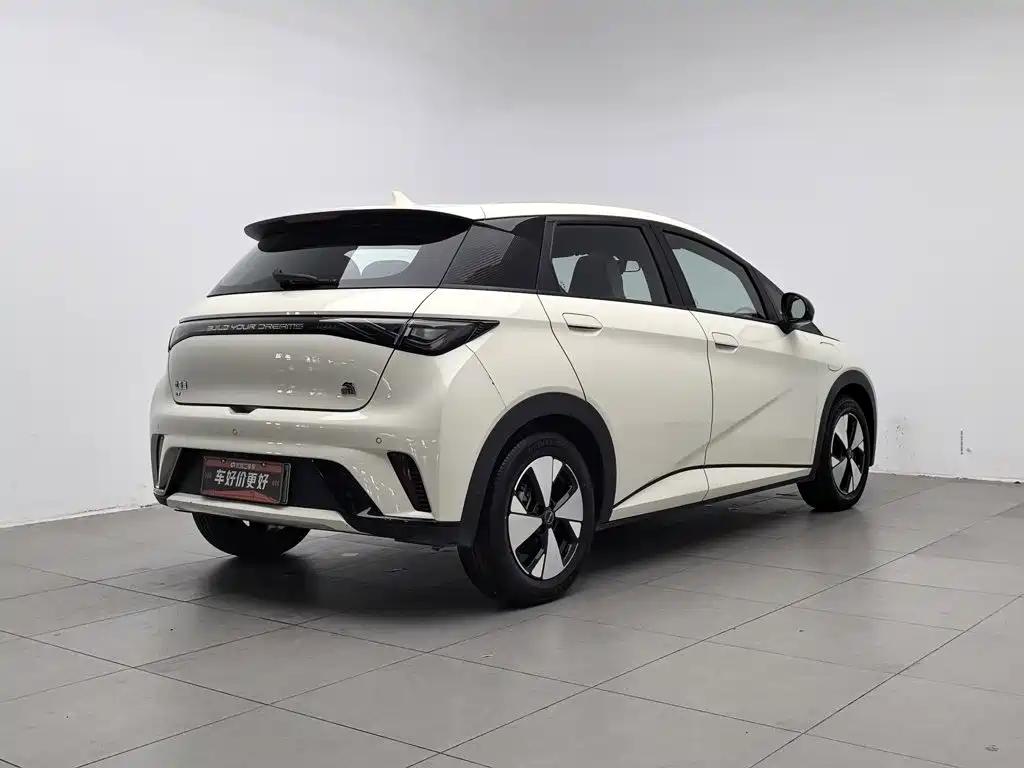 BYD Dolphin — миниатюра 2