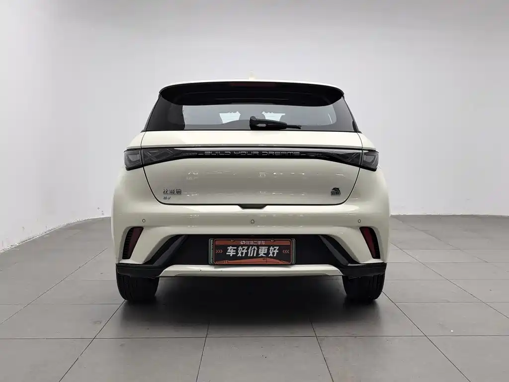 BYD Dolphin — миниатюра 4