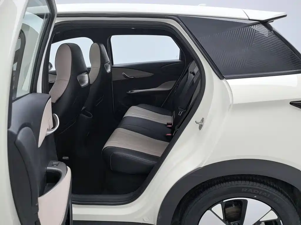 BYD Dolphin — миниатюра 15
