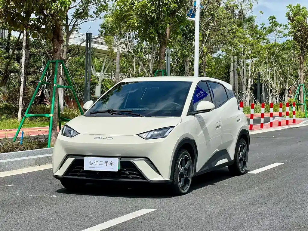 BYD Seagull
