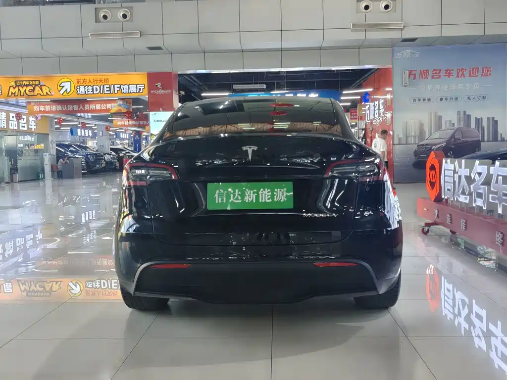Tesla Model Y — миниатюра 15