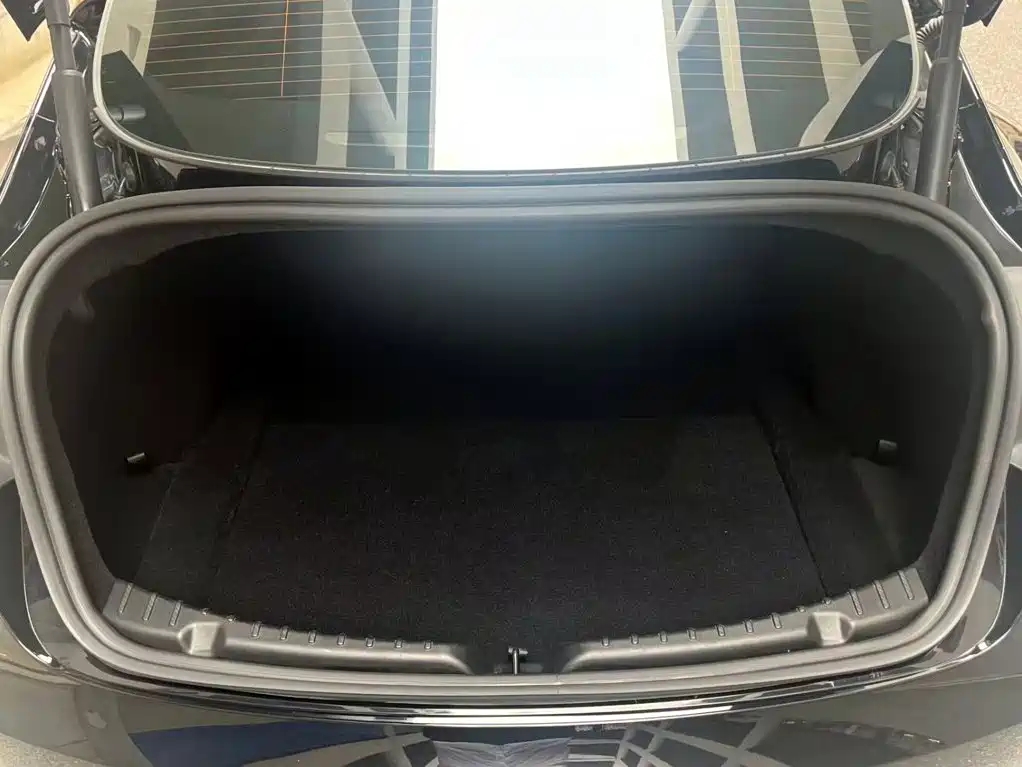 Tesla Model 3 — миниатюра 5