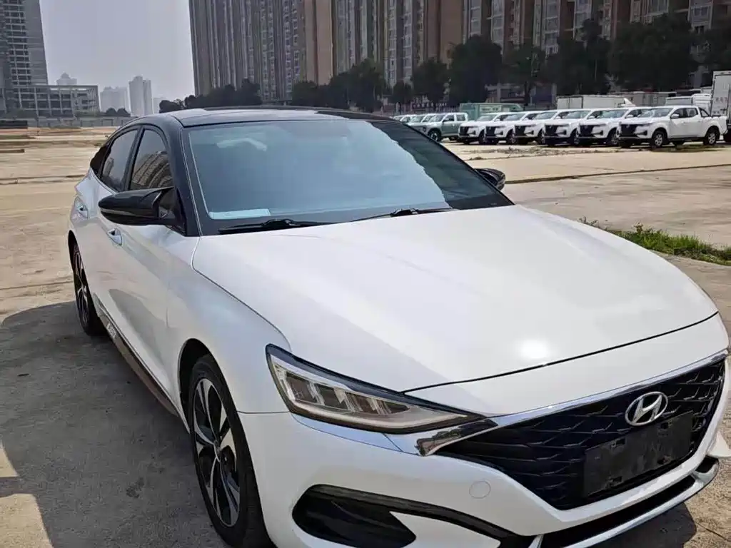 Hyundai Fista — миниатюра 2