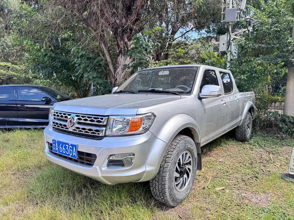 DONGFENG RUIQI
