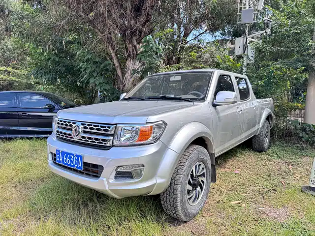 DONGFENG RUIQI 2018