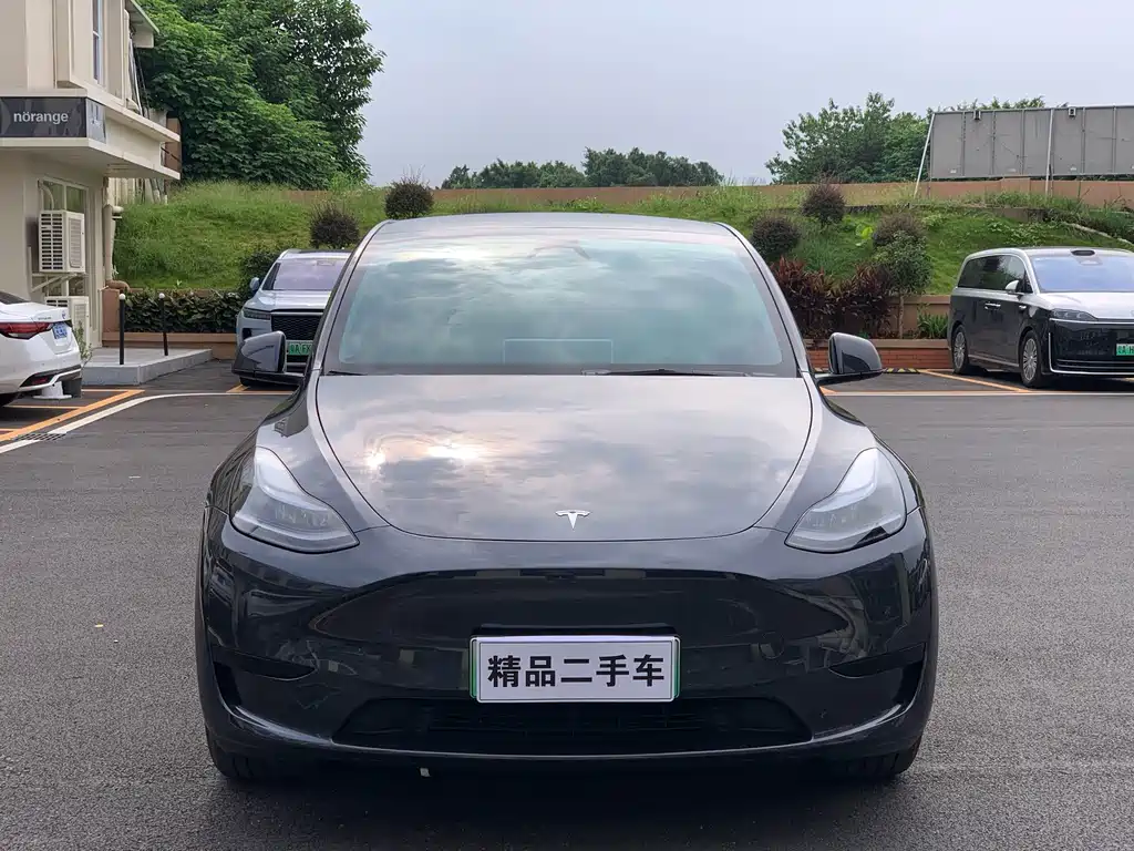 Tesla Model Y — миниатюра 2