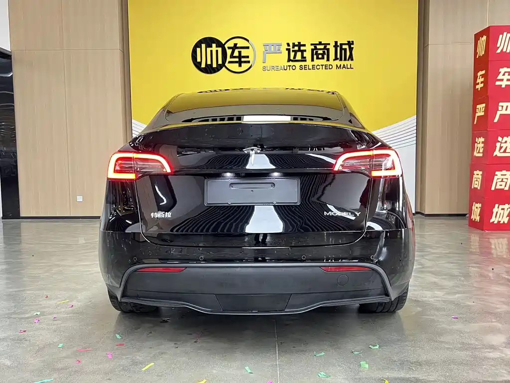 Tesla Model Y — миниатюра 5