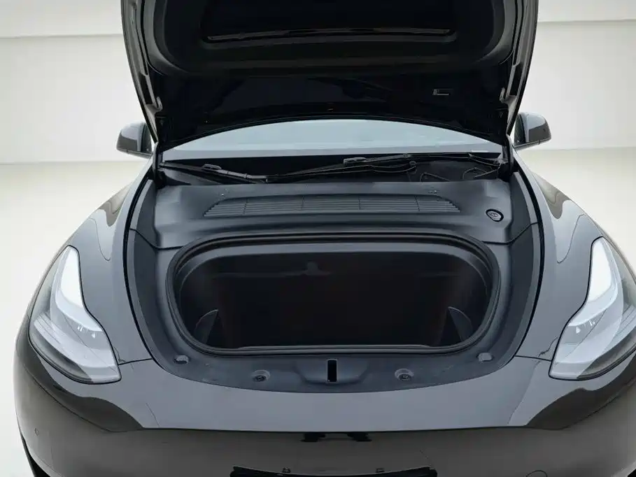 Tesla Model Y — миниатюра 6