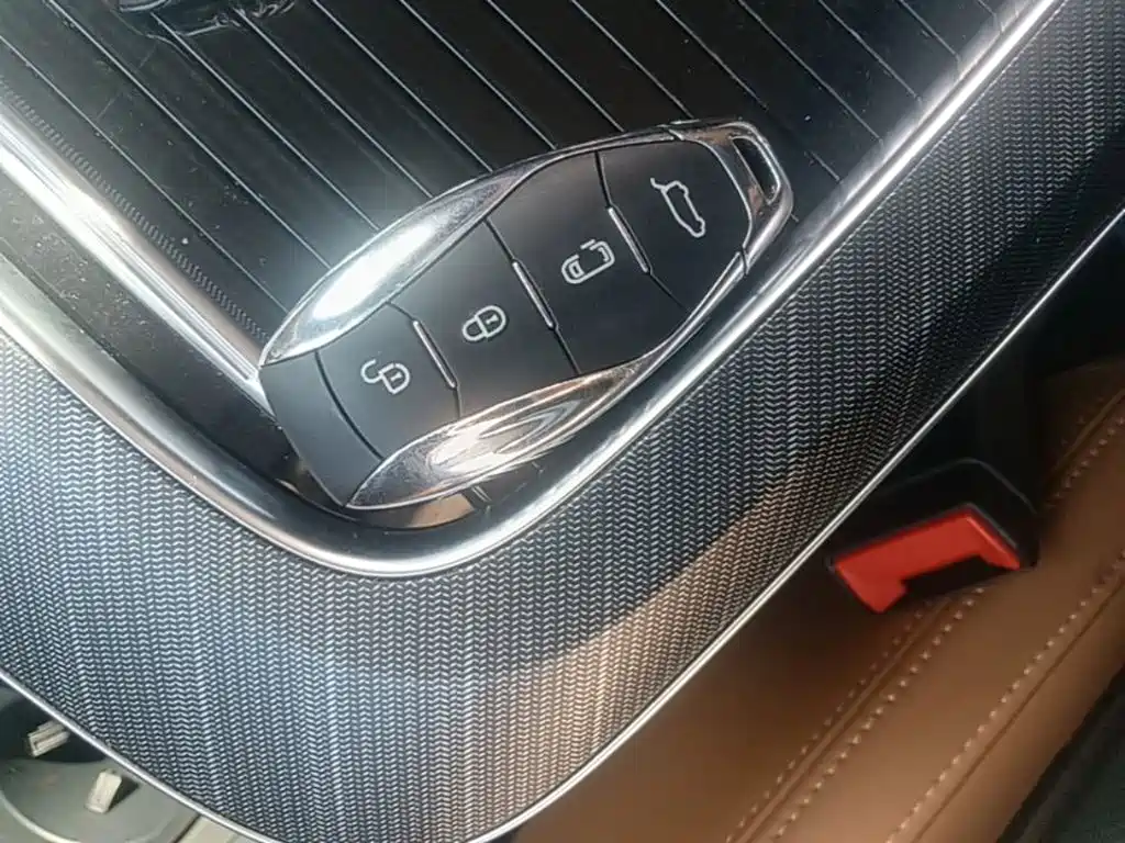 Hongqi Hongqi HQ9 PHEV — миниатюра 9
