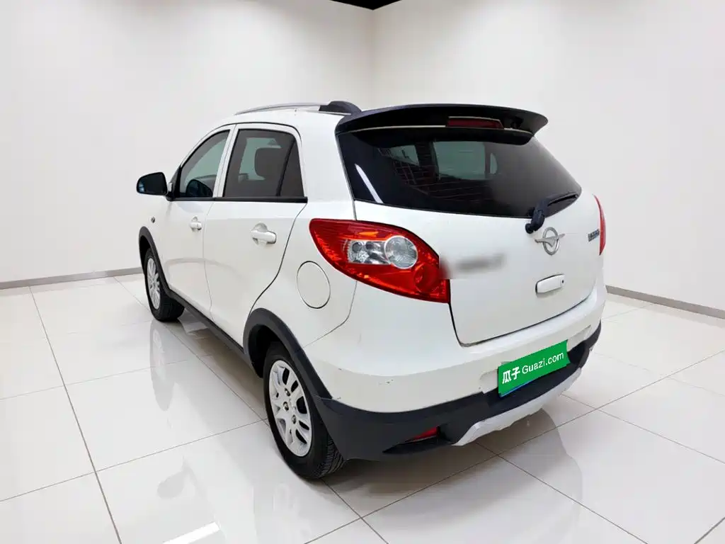 Haima Cowin — миниатюра 4