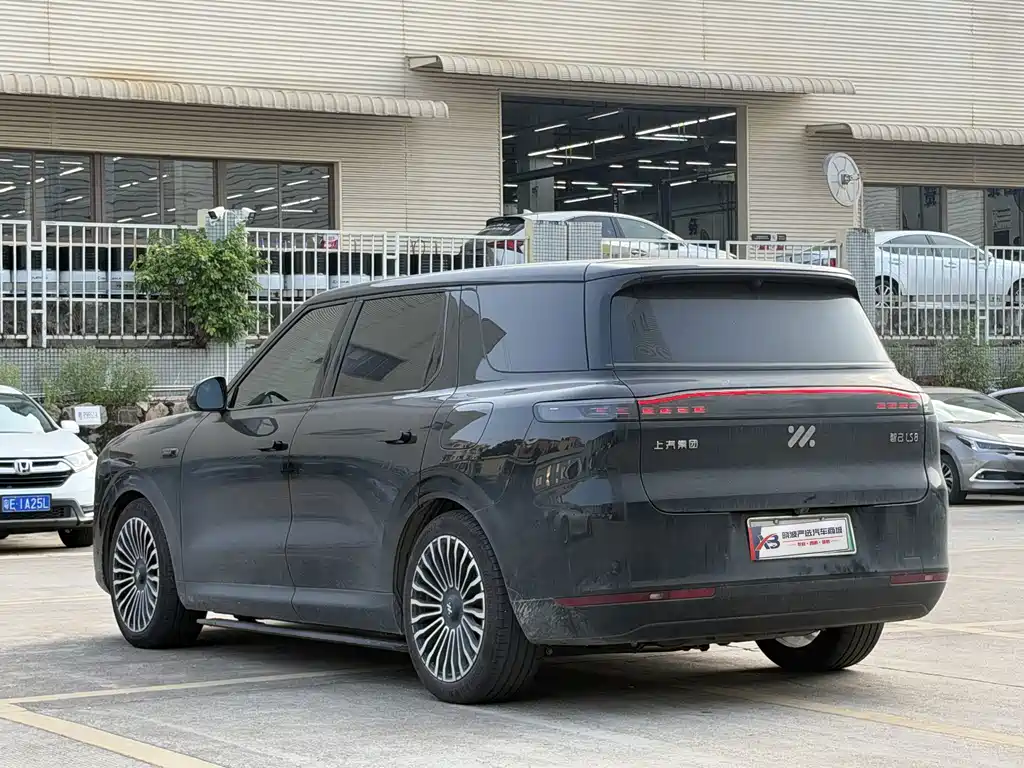 IM IM LS8 — миниатюра 5