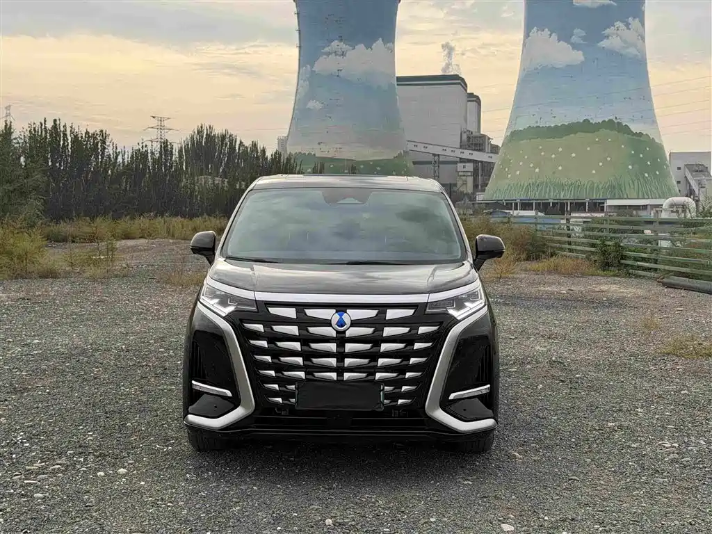 Denza Denza D9 — миниатюра 2