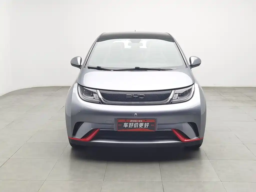 BYD Dolphin — миниатюра 3