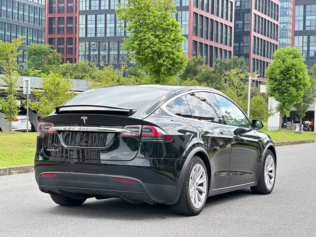 Tesla Model X — миниатюра 14