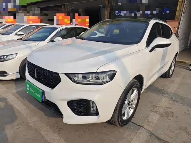 WEI PAI WEI BRAND VV5 2019