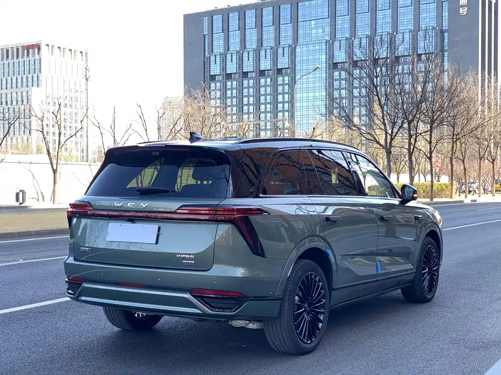 WEI PAI WEI BRAND BLUE MOUNTAIN