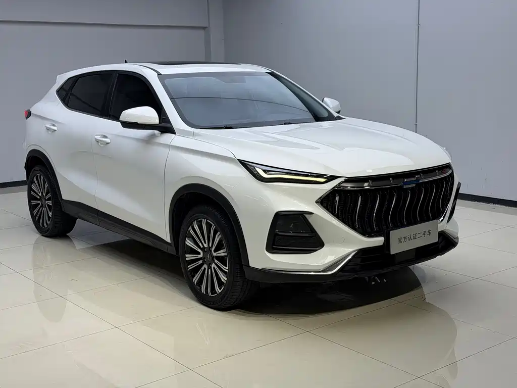 Oshan Oushang X5 — миниатюра 3