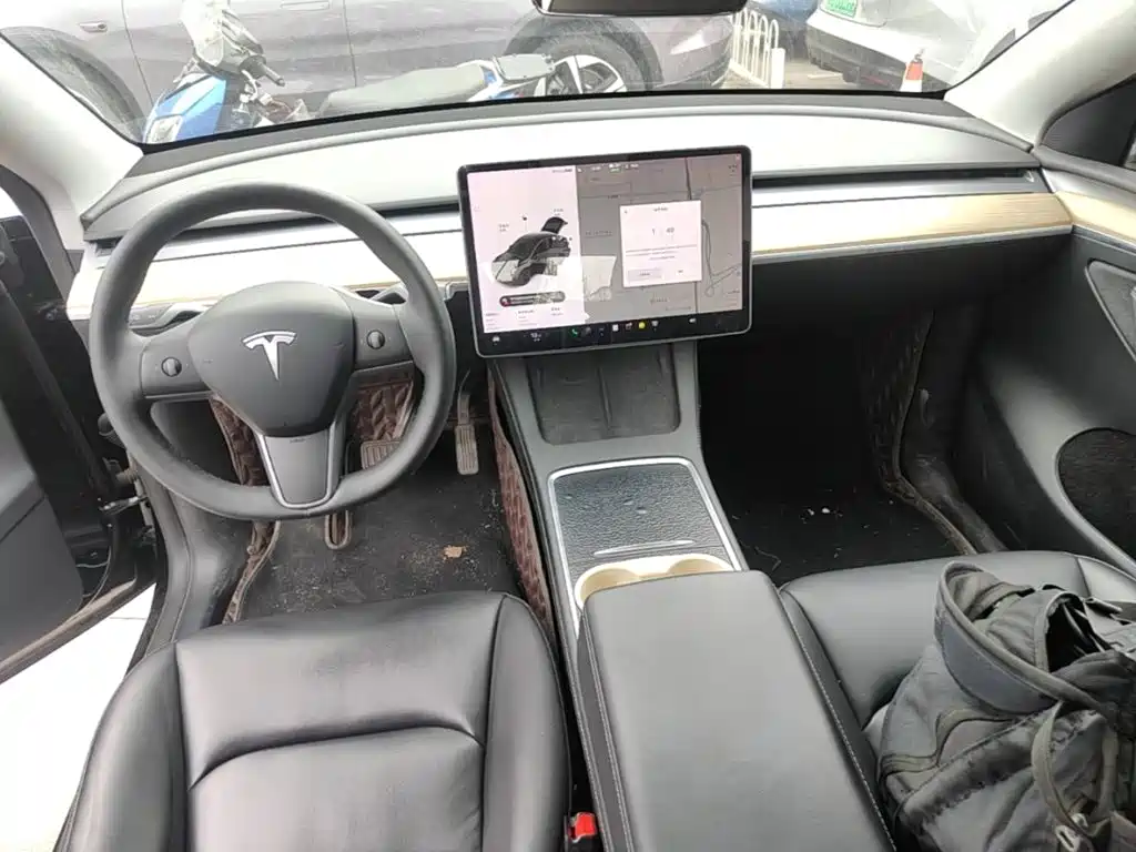 Tesla Model Y — миниатюра 10