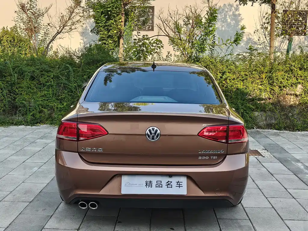Volkswagen Lamando — миниатюра 6