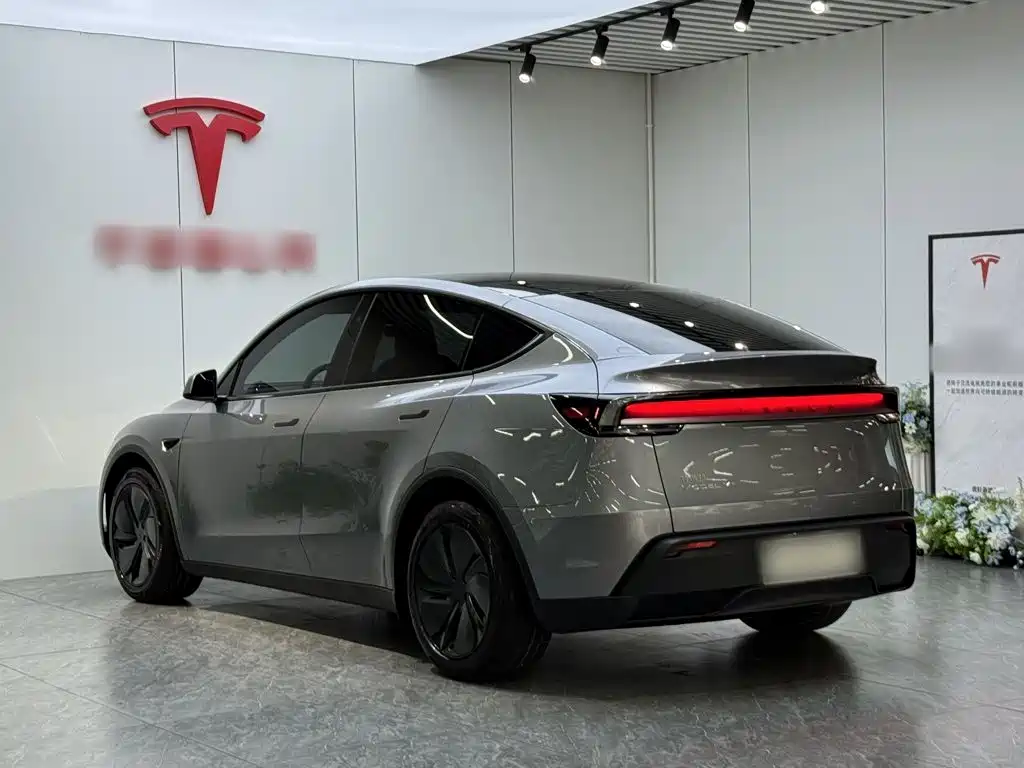 Tesla Model Y — миниатюра 5