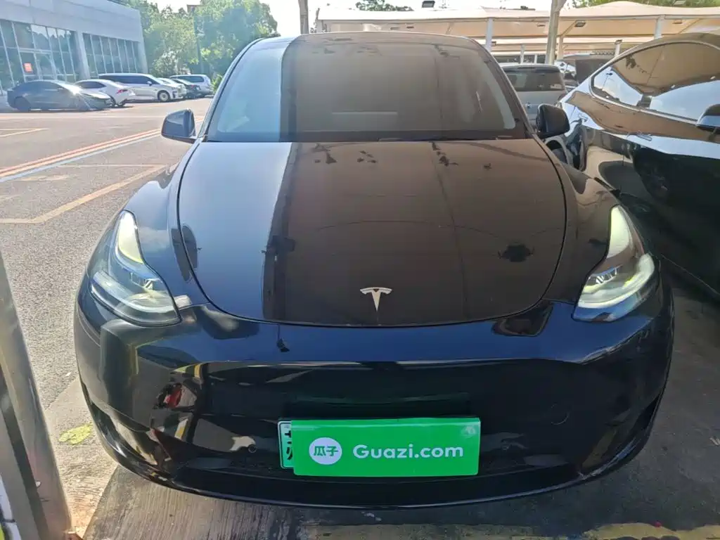 Tesla Model Y — миниатюра 3