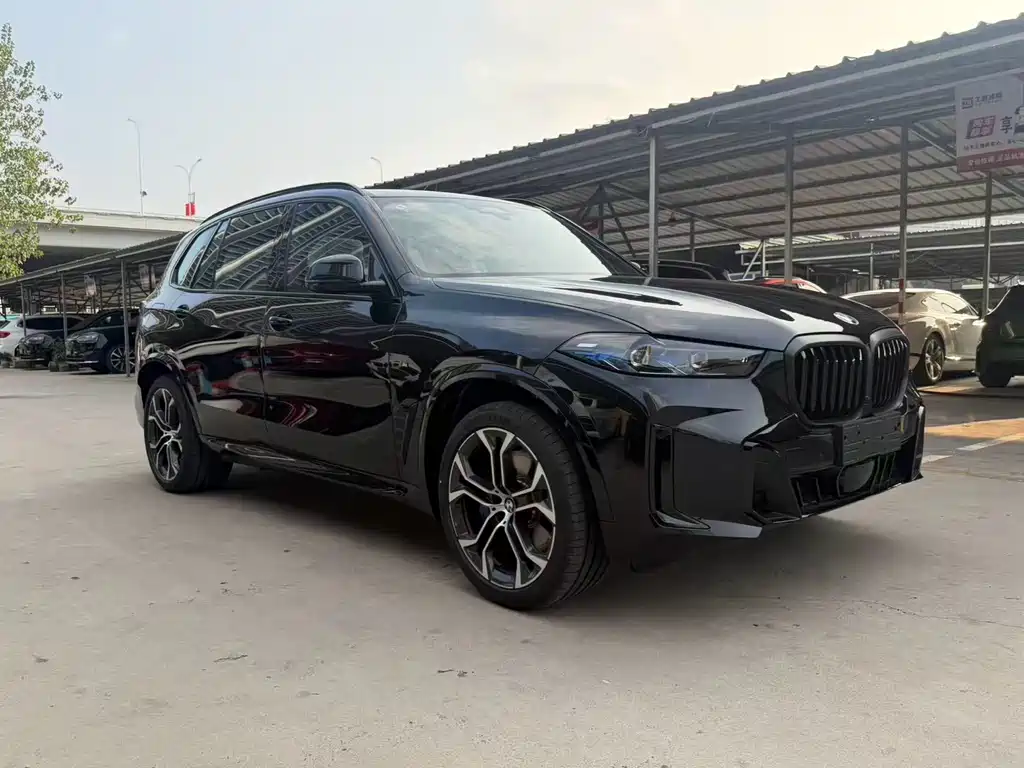 BMW X5 — миниатюра 3