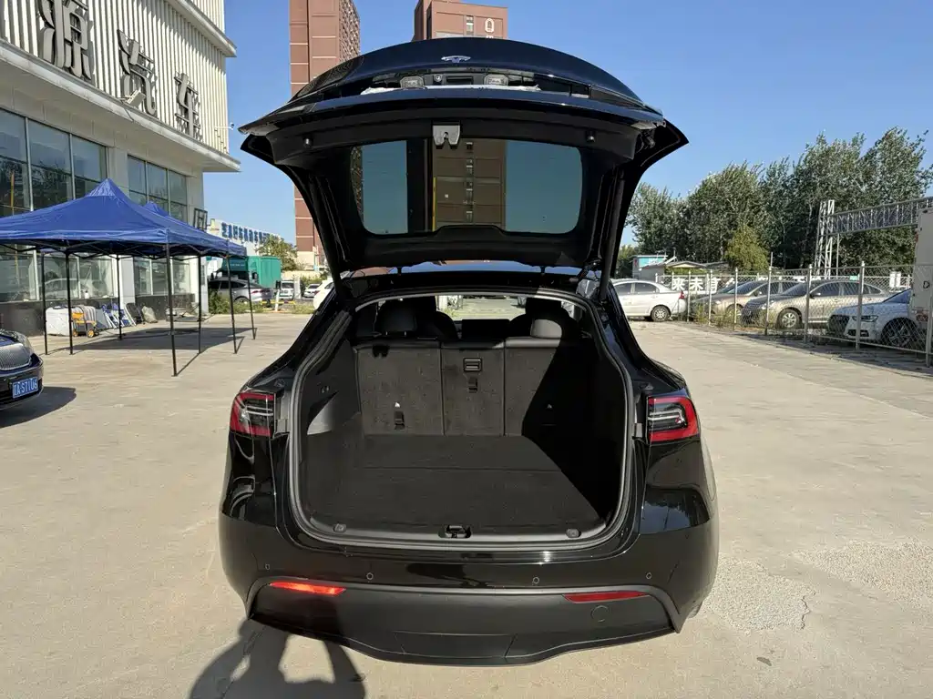 Tesla Model Y — миниатюра 8