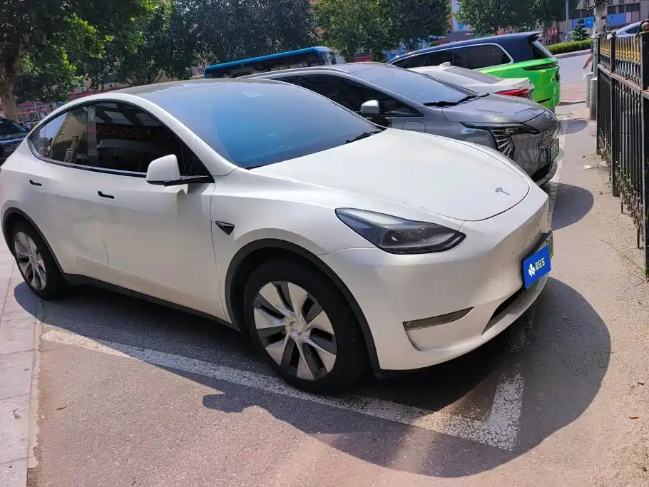 Tesla Model Y — миниатюра 2
