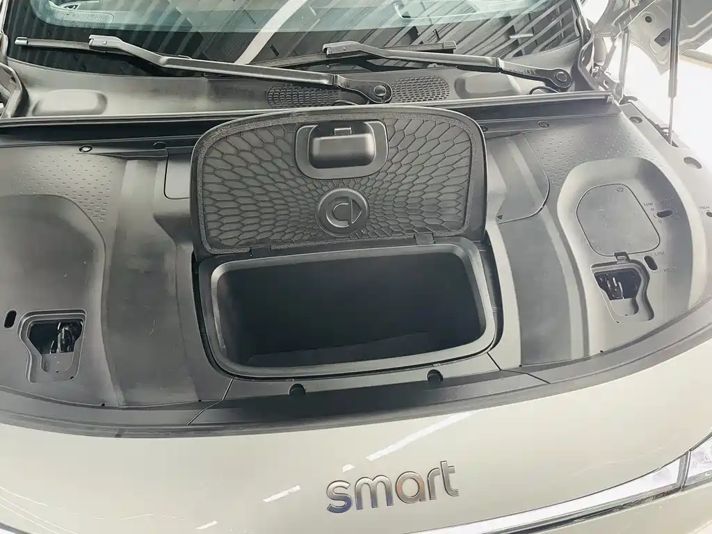 smart Smart #3 — миниатюра 2