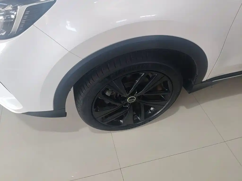 Roewe RX5 New Energy — миниатюра 23