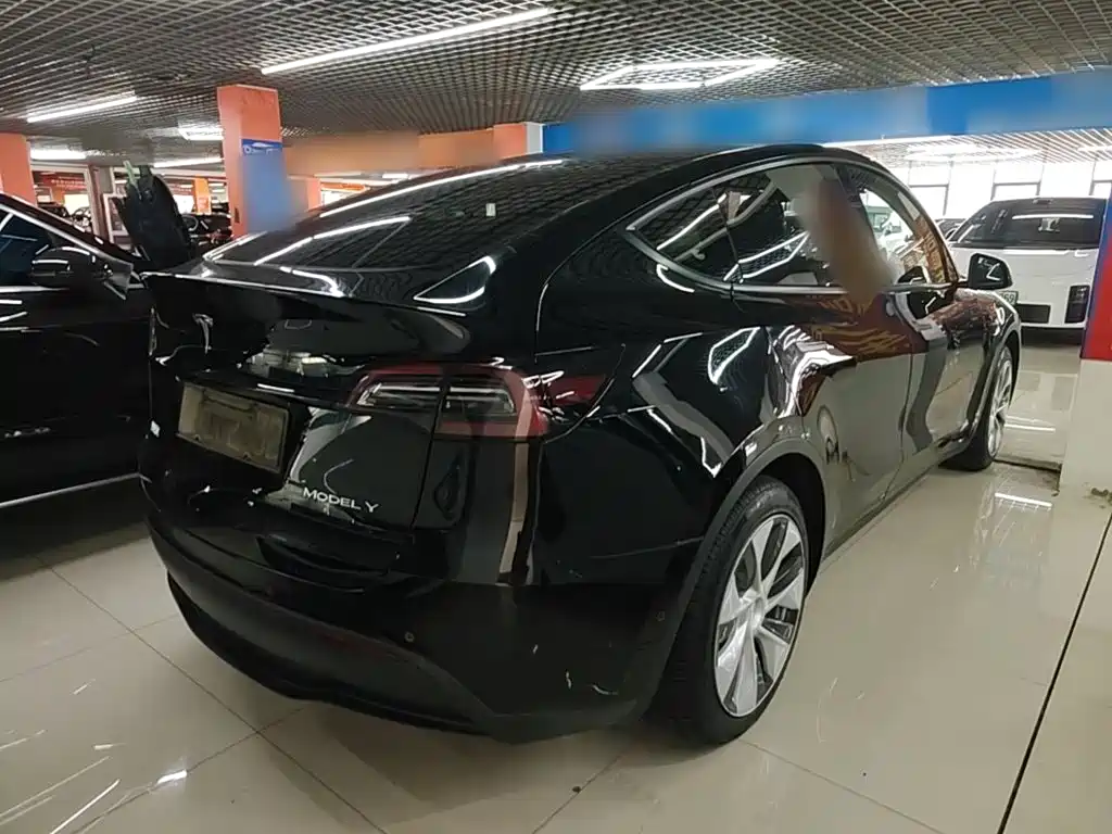 Tesla Model Y — миниатюра 7
