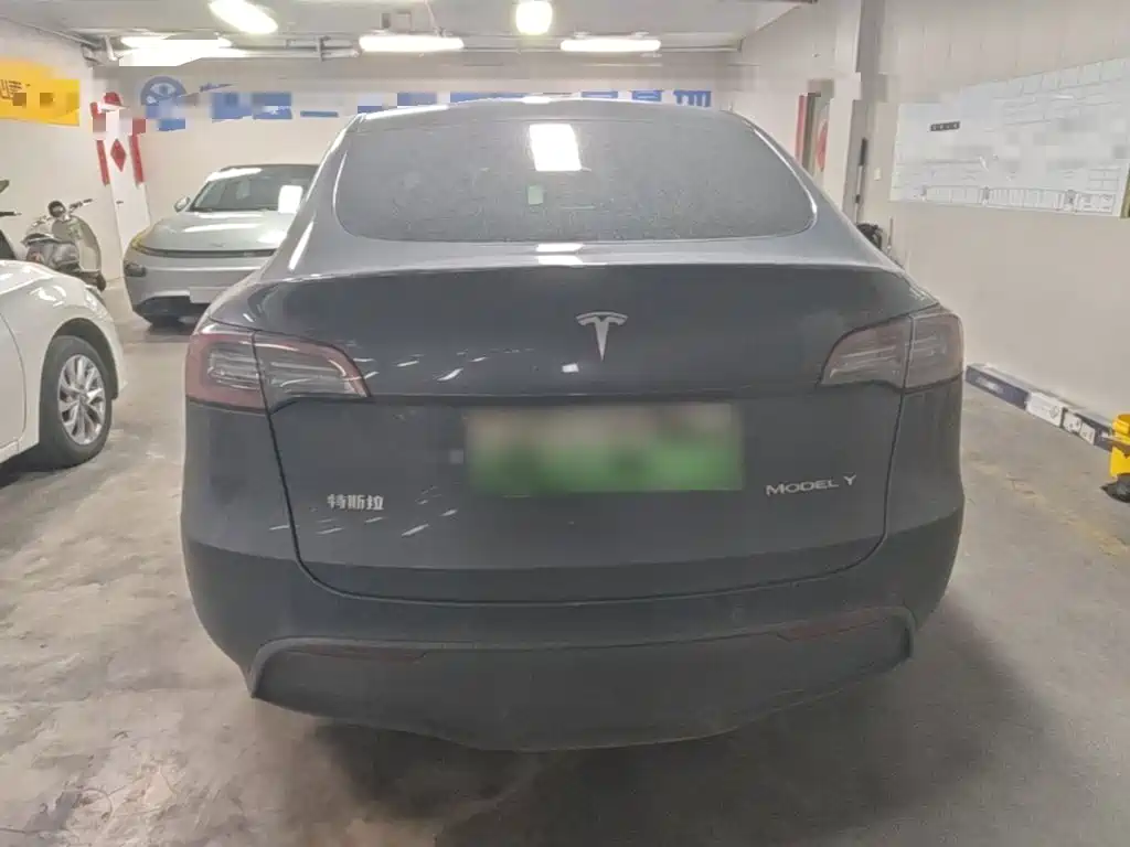 Tesla Model Y — миниатюра 6